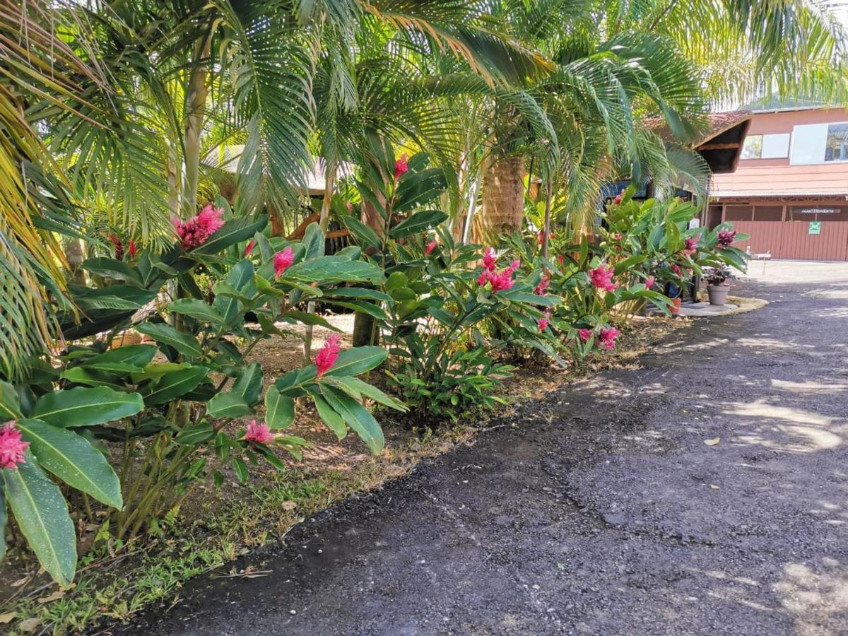 Hotel Palmera Real Hot Springs La Fortuna Kültér fotó