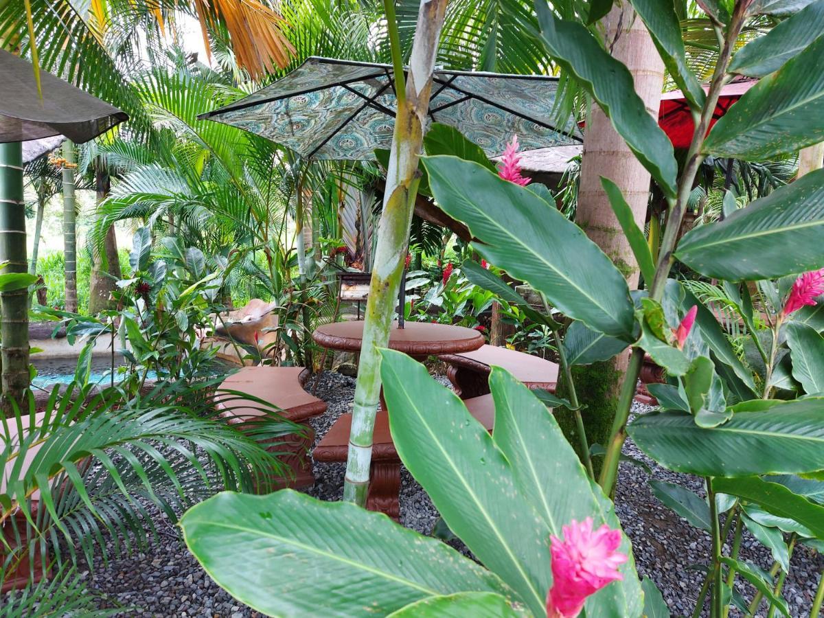 Hotel Palmera Real Hot Springs La Fortuna Kültér fotó